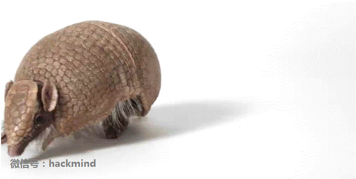 城里人真會玩，用鱷魚、穿山甲來評測Apple Watch 